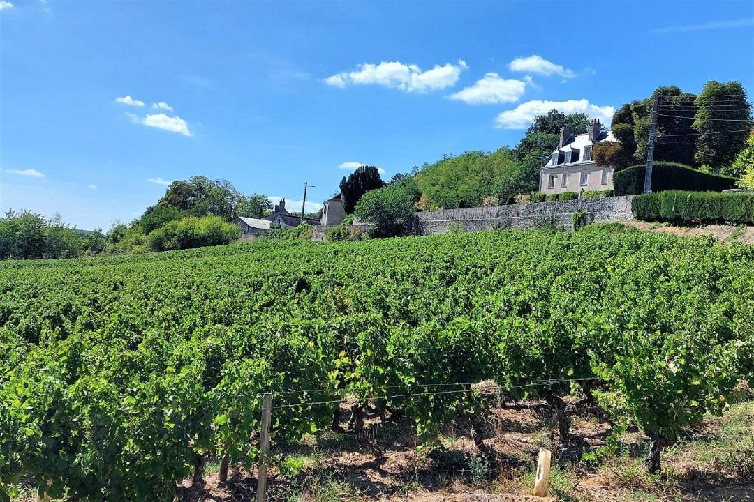 Appartamento Le Balzac / Colbert - Bord De Loire Tours Esterno foto